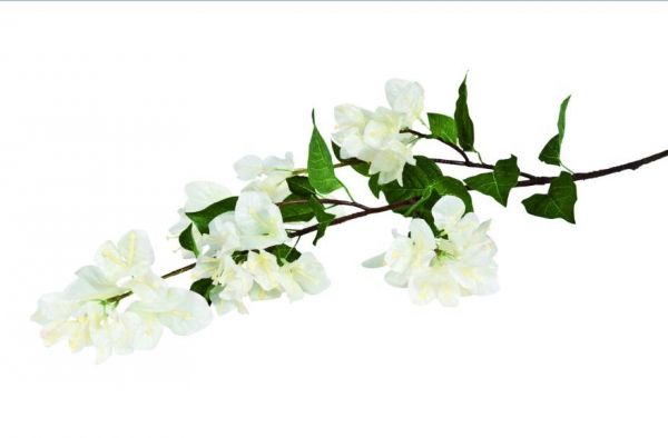 Umělá květina Bougainvillea bílá L  - Kliknutím zobrazíte detail obrázku.