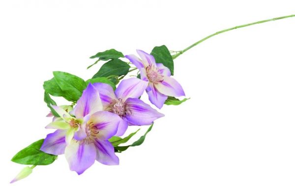 Umělá květina Clematis magenta - Kliknutím zobrazíte detail obrázku.
