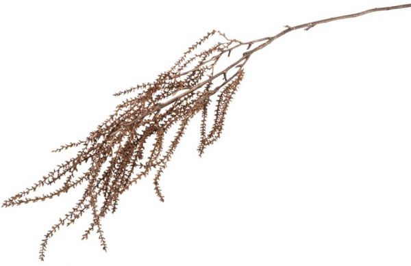Umělá větvička Amaranthus  - Kliknutím zobrazíte detail obrázku.