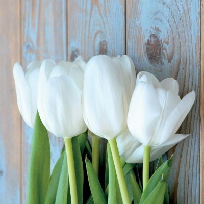 Ubrousky Tulipány bílé - Kliknutím zobrazíte detail obrázku.