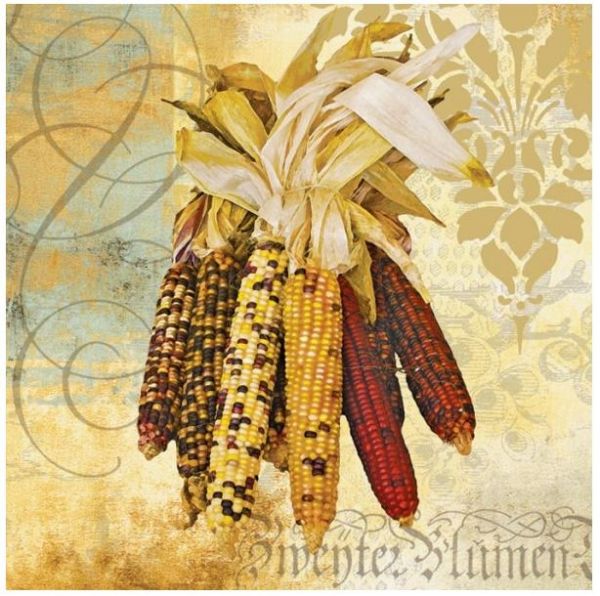 Ubrousky kukuřice  - Kliknutím zobrazíte detail obrázku.