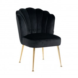 Židle Pippa black velvet/ gold