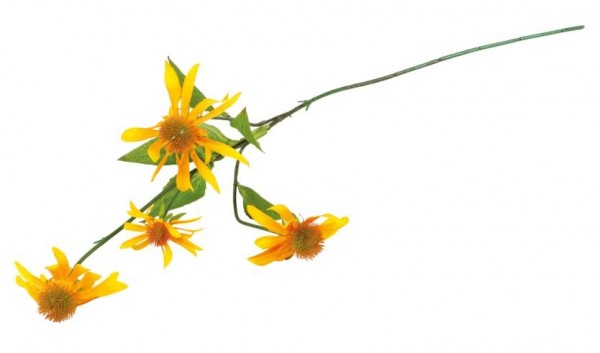 Umělá větvička Žluté květy  - Kliknutím zobrazíte detail obrázku.