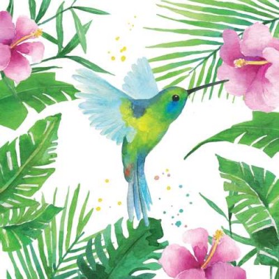 Ubrousky Tropical Kolibřík - Kliknutím zobrazíte detail obrázku.