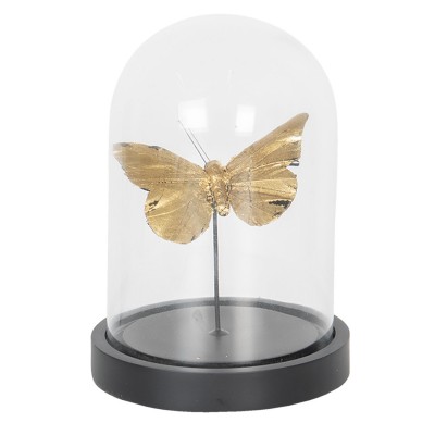 Dekorace Motýl pod skleněnou kupolí - Kliknutím zobrazíte detail obrázku.