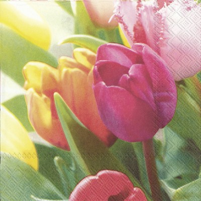 Papírové ubrousky Tulips melodies - Kliknutím zobrazíte detail obrázku.