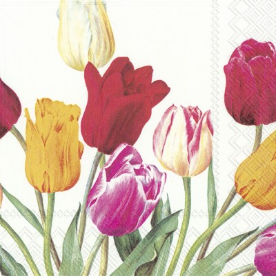 Papírové ubrousky Tulips white - Kliknutím zobrazíte detail obrázku.