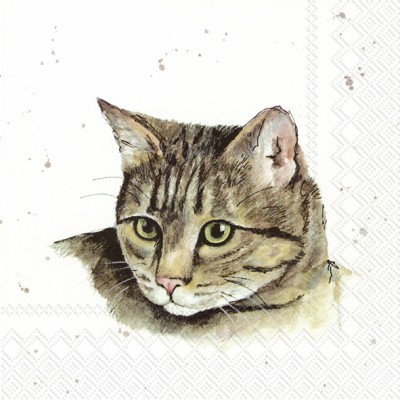 Papírové ubrousky Farmfriends - kočka - Kliknutím zobrazíte detail obrázku.