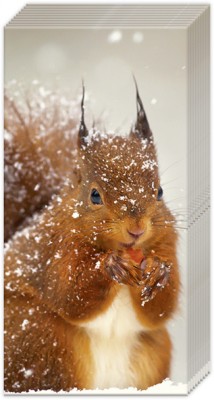 Kapesníčky Winter squirrel - Kliknutím zobrazíte detail obrázku.