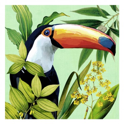 Podtácek Toucan in paradise - Kliknutím zobrazíte detail obrázku.
